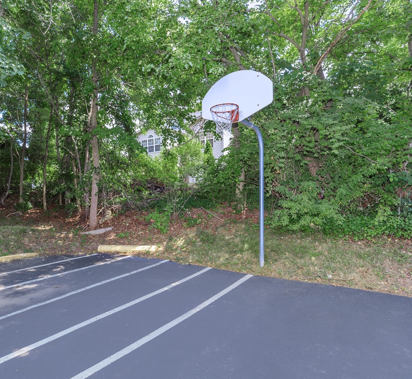 Basketball Court